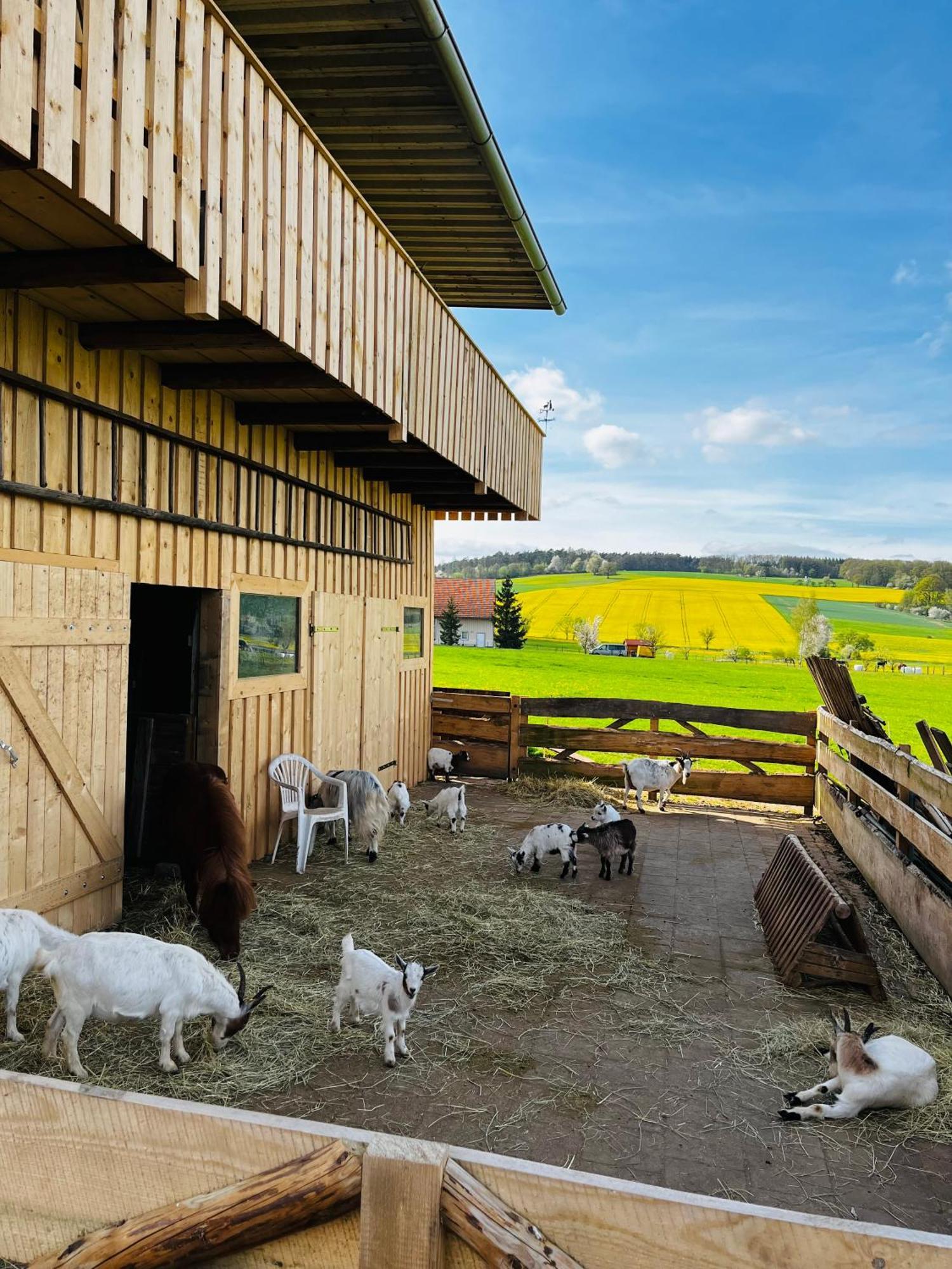 Ferienwohnung Peters Hünfeld Exteriér fotografie