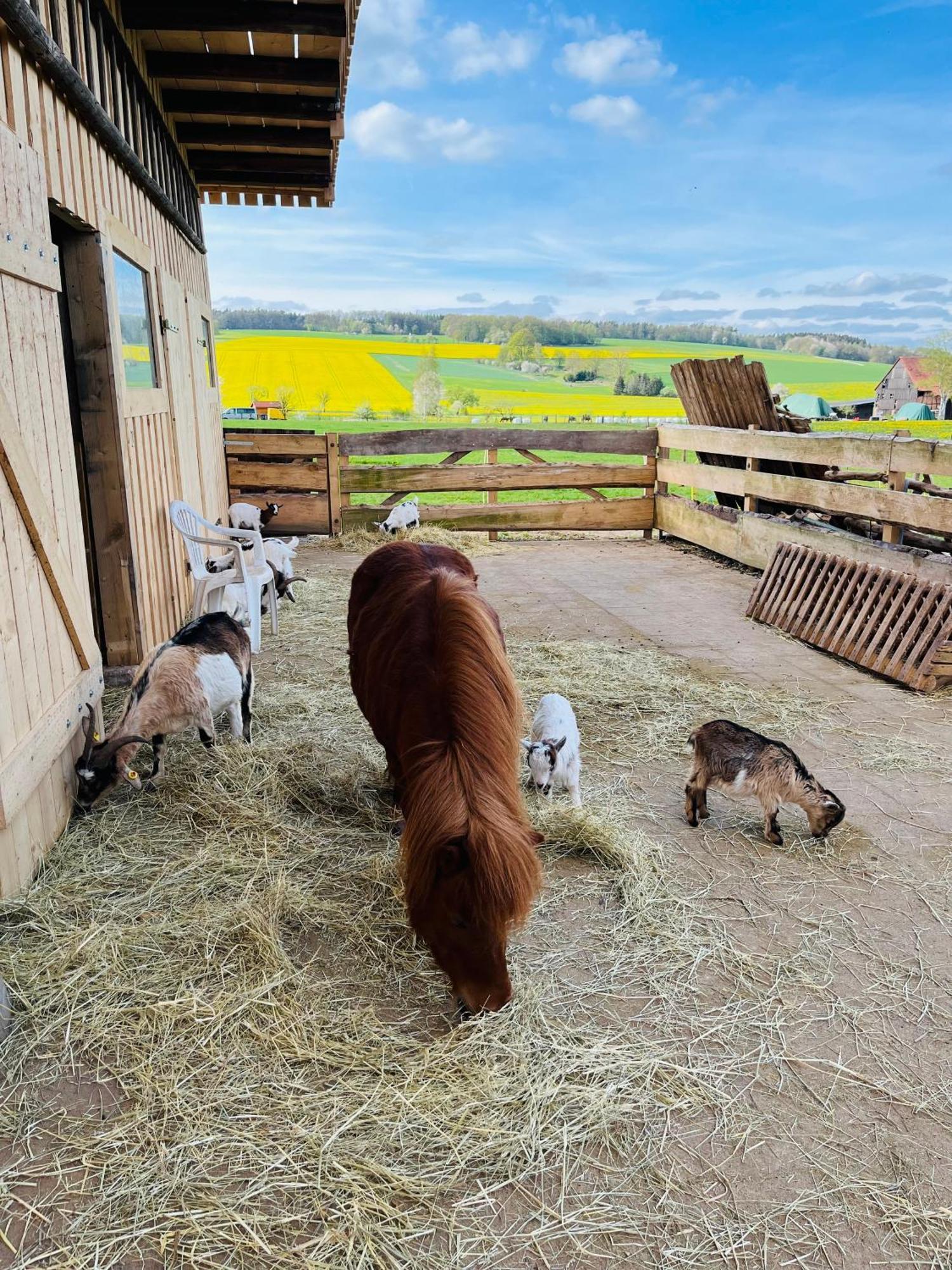 Ferienwohnung Peters Hünfeld Exteriér fotografie